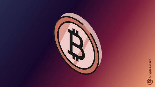 Featured image for article: Deribit sees record options interest as November expiry nears