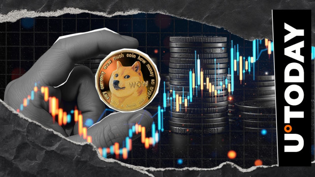 Dogecoin Utility Takes Center Stage in New Zealand Crypto Event