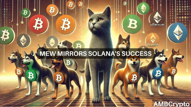 Why Solana's MEW could be your top memecoin pick this week