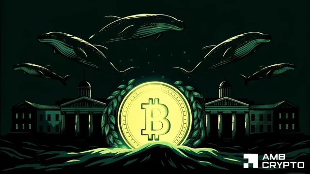 Lo shock dell'offerta di Bitcoin è in corso, ma ci sono rischi macro – Dettagli