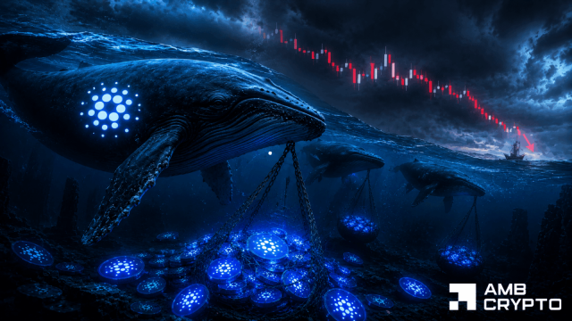 Cardano flashes 2020-style whale signal, yet ADA drifts lower – Why?