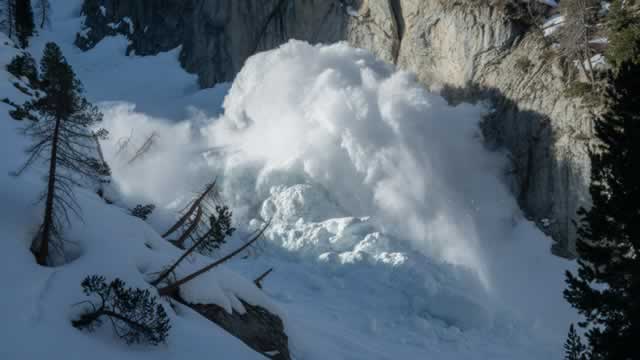 Avalanche Treasury Drops 16% on Nasdaq Debut as AVAX Hits Five-Year Low
