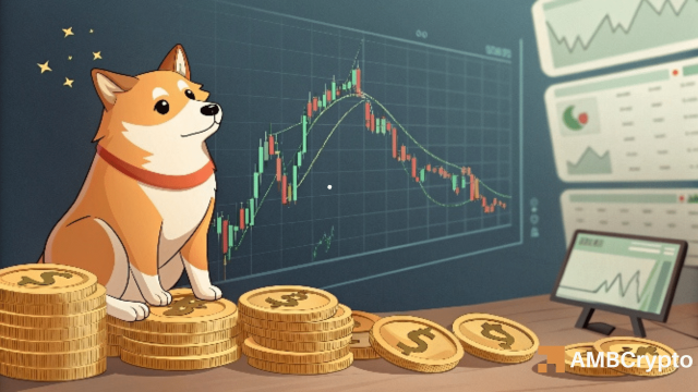 Dogecoin crashes 55% – But THIS points to a DOGE reversal