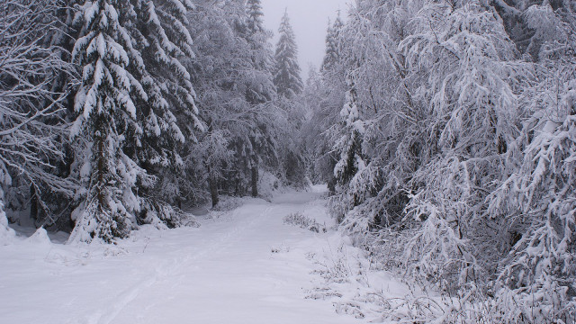 Featured image for article: Will This Crypto Winter Be Different? Top Analyst Explains