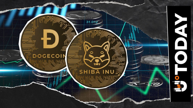 Dogecoin or Shiba Inu (SHIB) for February? Meme Coin Price History Reveals 397% Imbalance