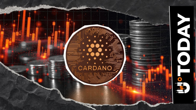 Cardano Hits 10,166% Liquidation Imbalance as Price Tests $0.2 Support