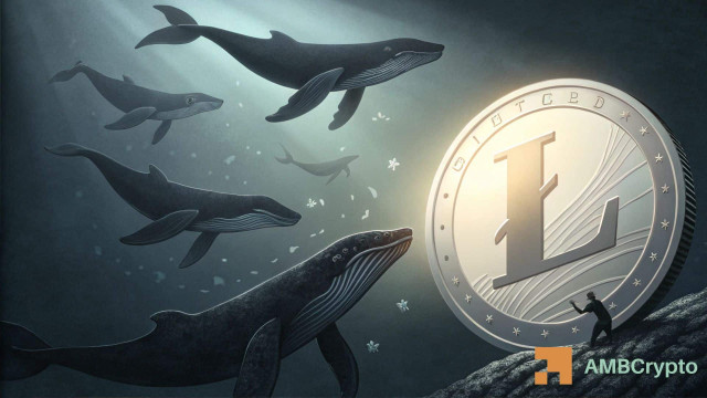 Litecoin whale moves 1.25 mln LTC off exchange, raising accumulation hopes