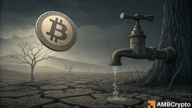 Bitcoin 79,4 bin dolara ulaştı ancak sırada balina kaynaklı bir satış dalgası olabilir - Nedenler