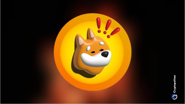 Bonk Holdings launches Bonk treasury with large $32 million purchase