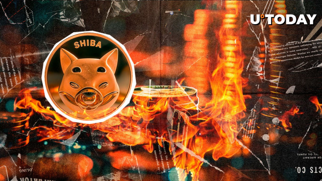 286% SHIB Burn Surge Turns Into Failure, Here's Why