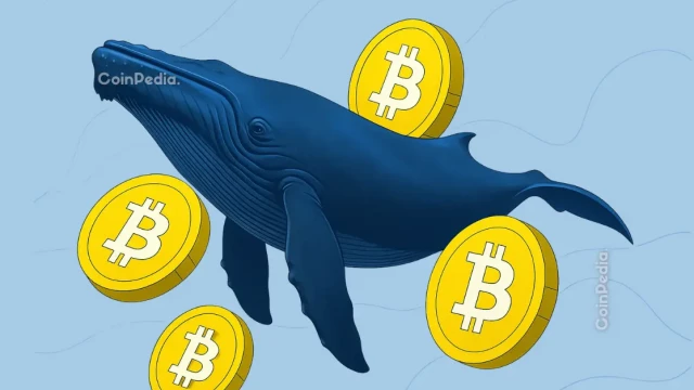 Satoshi Era Bitcoin Whale Wallet Buys 7000 BTC After 14 Years