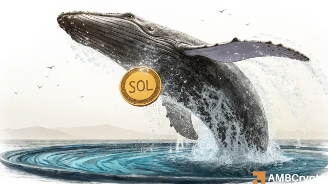Will Solana's $170 support hold after Alameda unstakes $35M in SOL?