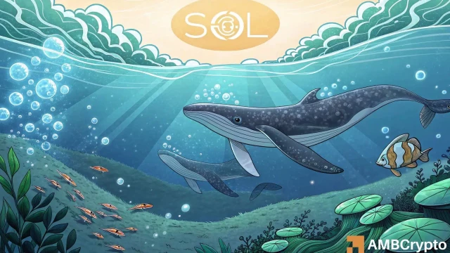 Solana's price eyes $200 after whale buys SOL worth $12M