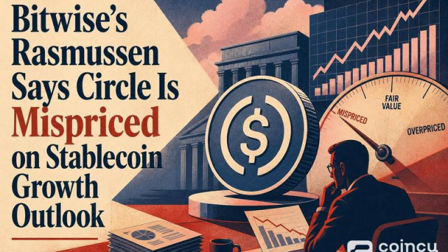 Bitwise's Rasmussen Says Circle Is Mispriced on Stablecoin Growth Outlook