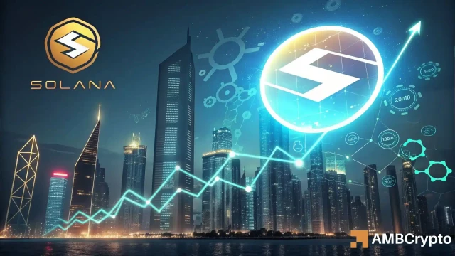 Solana captures 40% of crypto buybacks: SOL can reach $295 IF