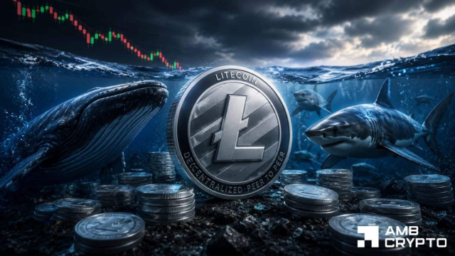 Litecoin whales add 7% more wallets in 5 months – Yet LTC is stuck near $44