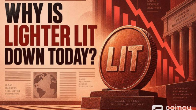 Why Is Lighter (LIT) Price Down Today?