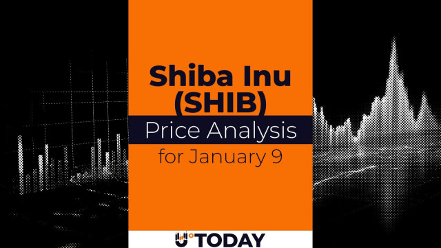 SHIB Price Analysis for January 9