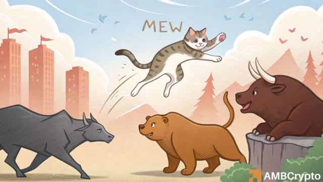 cat in a dogs world [MEW] risks pullback: All you need to know