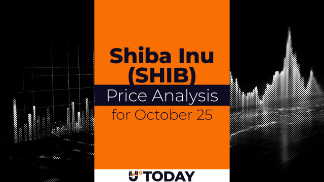 SHIB Price Analysis for October 25