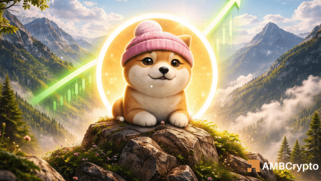 dogwifhat at $0.20: Reversal or further drop, what's next for WIF?