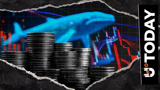 Thumbnail for article: 12 Liquidations in 12 Hours: Crypto Bloodbath Among Crypto Whales