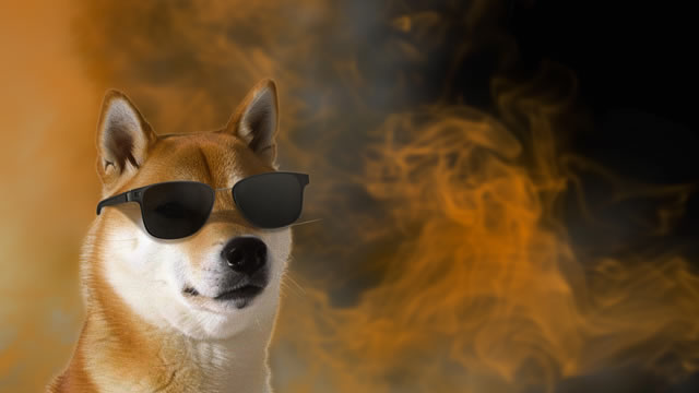 Historical Data Predicts Dogecoin Price Crash In August — But There's A Silver Lining
