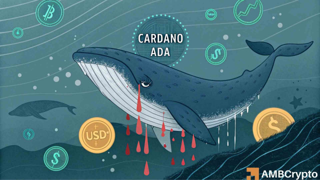 Cardano whale loses 90% ADA after conversion to an illiquid stablecoin