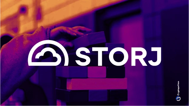 Storj Labs has filed for Chapter 11 bankruptcy