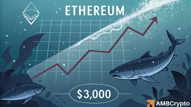 Ethereum slips below $3,000 – Why are whales quietly buying the dip?