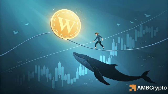 dogwifhat [WIF] whales scoop $0.76 lows – But THIS metric shows risk!