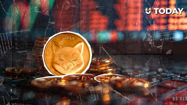 800% Shiba Inu (SHIB) On-Chain Anomaly Sends Important Signal