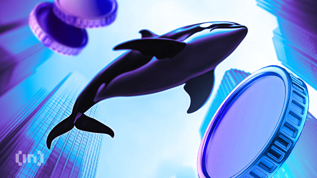 Litecoin Trades 46% Below 2025 Peak, but Whale Activity Tells a Different Story