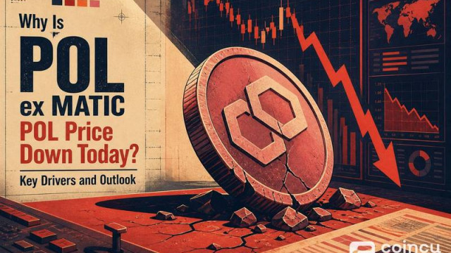 Why Is POL (ex-MATIC) (POL) Price Down Today? Key Drivers and Outlook