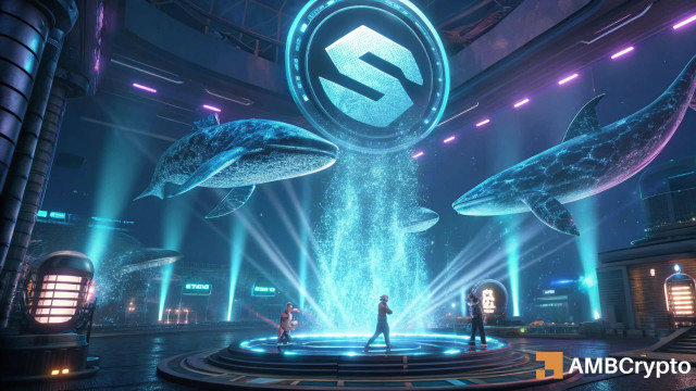 170K SOL withdrawn – Are whales calling Solana's bottom at $130?