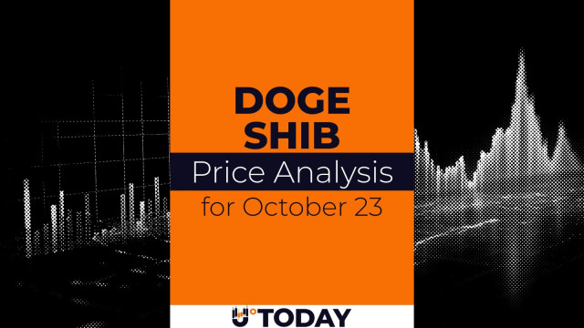 DOGE and SHIB Price Analysis for October 23