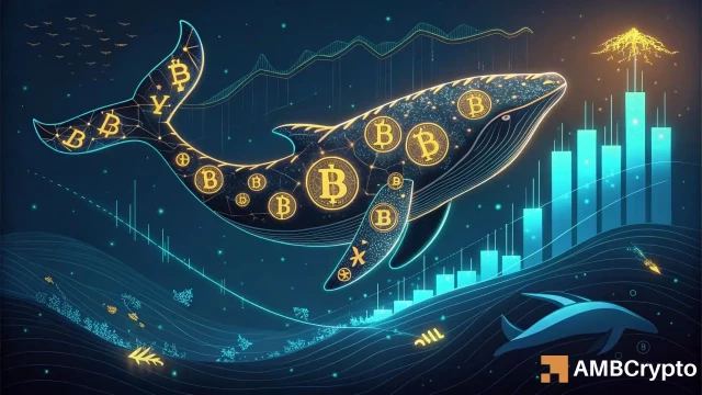 New whales are stacking Sats fast – Will this trigger Bitcoin's next leg up?