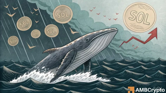 Are whales bleeding Solana dry? Another $13 mln SOL hits exchanges