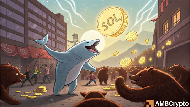 Solana: Can SOL reclaim $90 after $17M whale accumulation?
