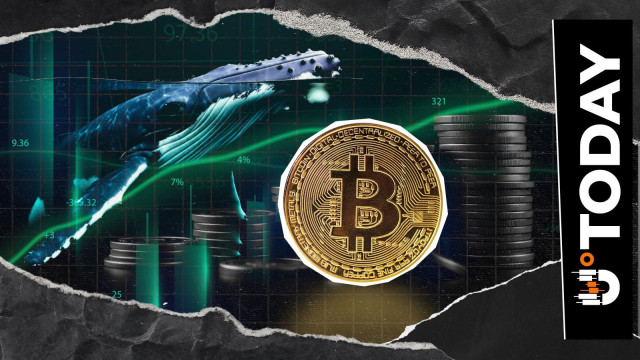 Bitcoin Whales Place Strong Bids at $71,000, Price Scenarios to Watch