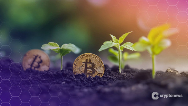 Thumbnail for article: DeFi Advocates Propose $30B Plan to Fight Global Poverty — Here's the plan