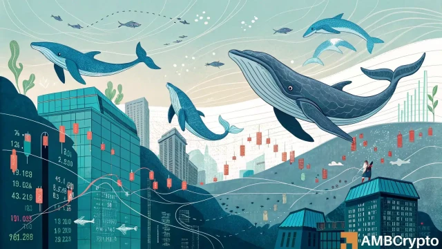 Analyzing Monad's post-mainnet pump: Are we one wick away from a flush?