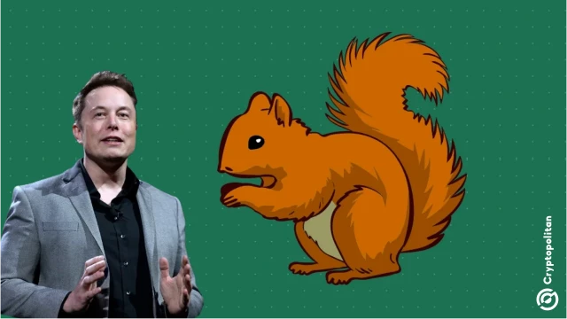 Elon Musk's post criticizing the justice system drew attention to Solana's PNUT token