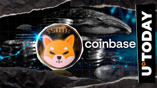 Coinbase Whale Collects 139,150,244,953 SHIB After 70% Price Collapse